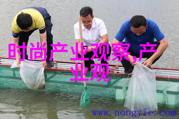 不败战神杨辰全集概览勇士的荣耀与霸业的蜕变