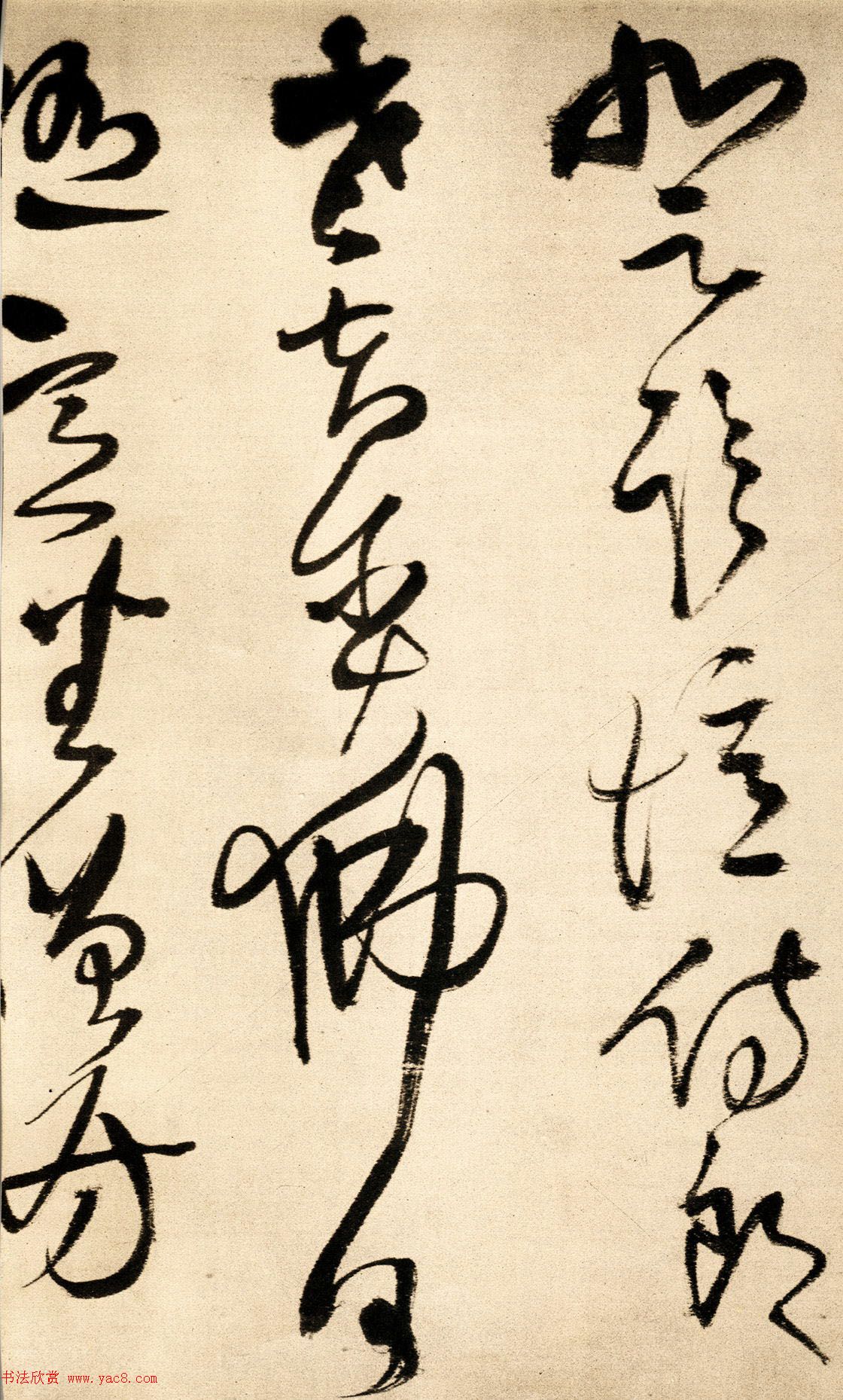 内搭裤穿上这双小短腿的秘密武器我也能变身超级美