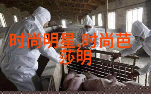 小女孩的鞋子故事穿越童年的一双一双