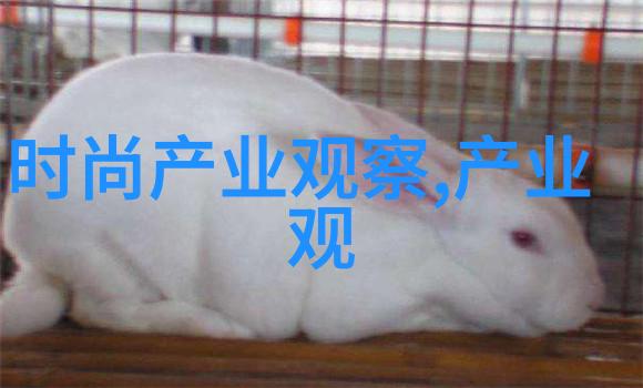 主题-迈开腿让我亲吻你的小草莓情感的甜蜜探索