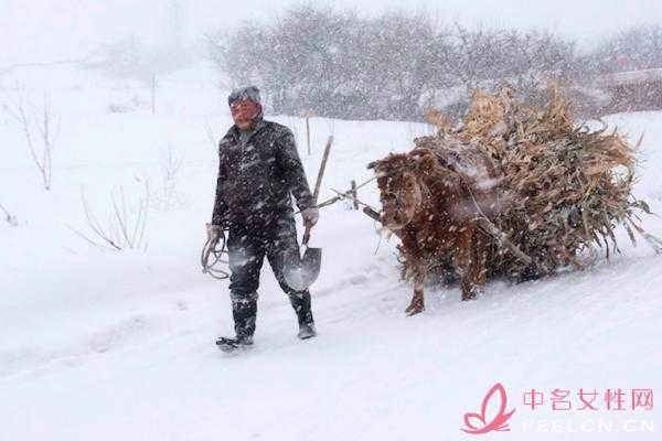 法国娇兰我与那朵飘散香气的法国娇兰