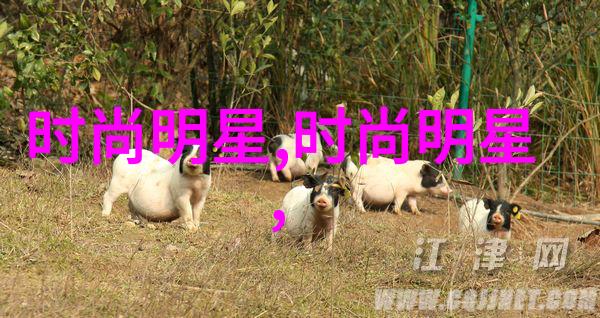 美发基础入门掌握必备知识点