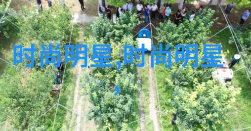 亲戚间的温馨之旅分享与亲人共度夜晚的美好瞬间