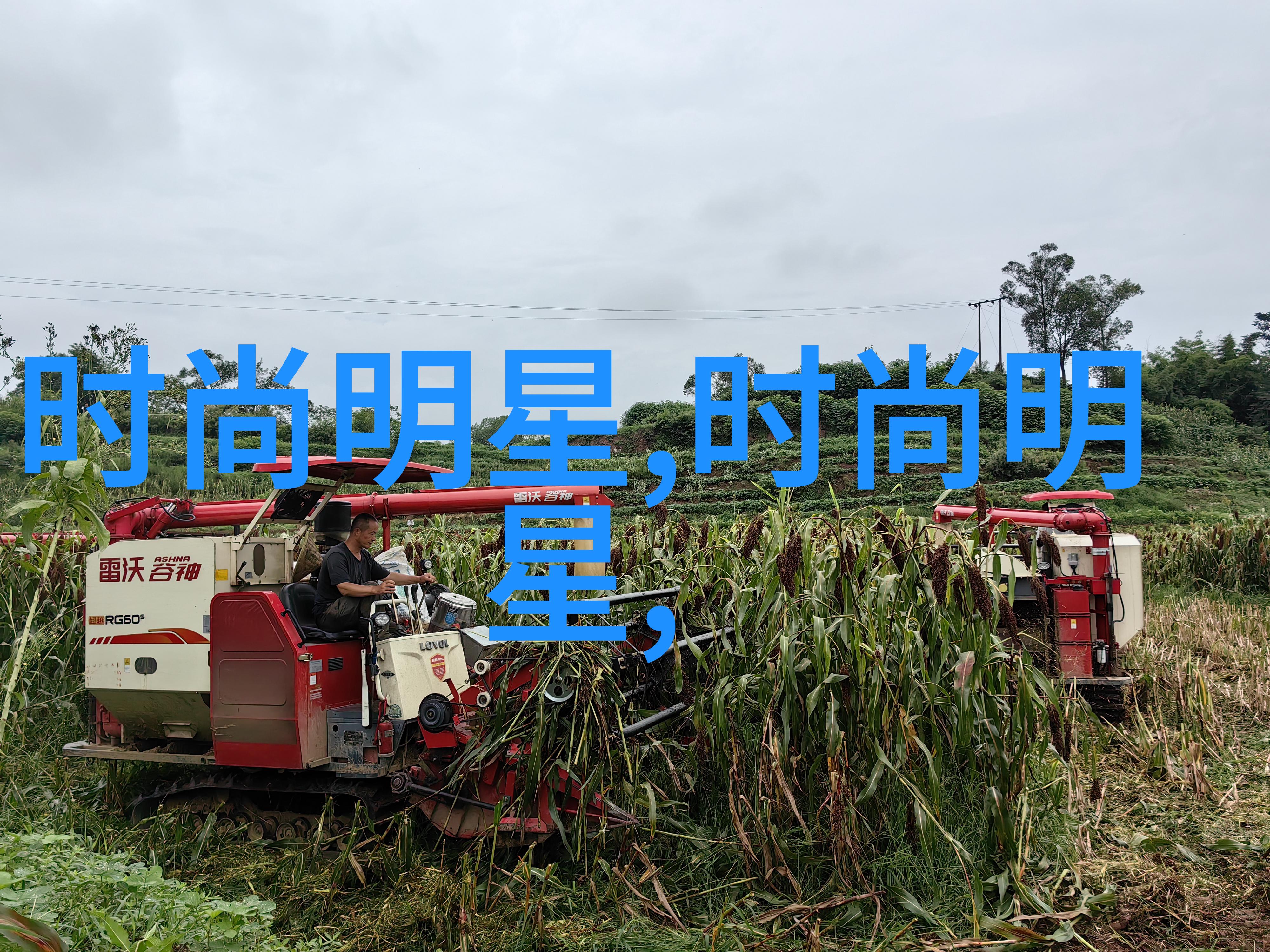 传统经典与现代潮流的碰撞男士怎样将古典元素融入日常穿着中