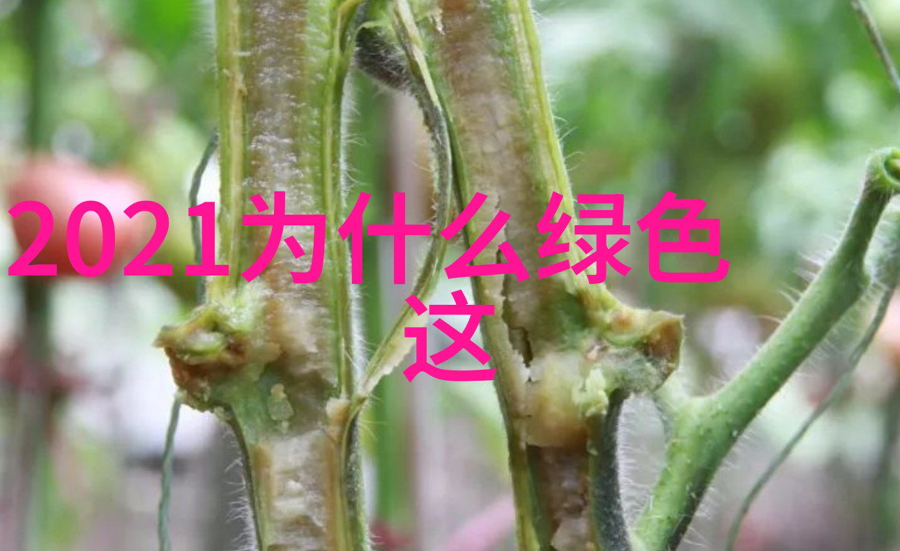 夏日时尚如何搭配裤衩成为街头派对的焦点