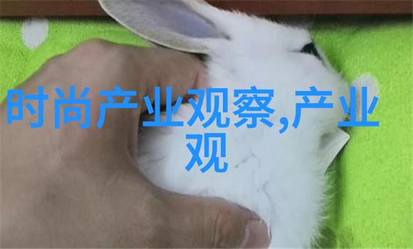 秀发编织新手的美丽启蒙