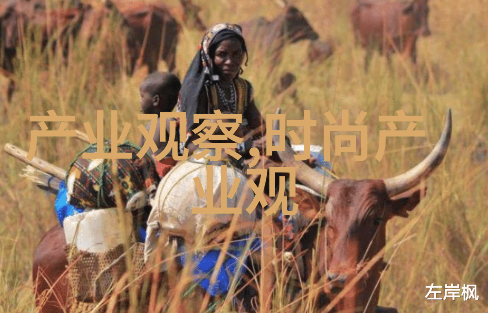 专业设计发型-精致造型探索专业设计在发型艺术中的角色
