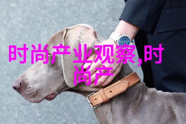 云泥青灯我的寻梦之旅
