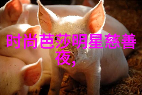 如何准备接替领导者的角色