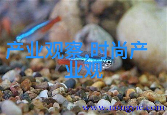 赖人的心灵深处探索我就是赖你的背后世界