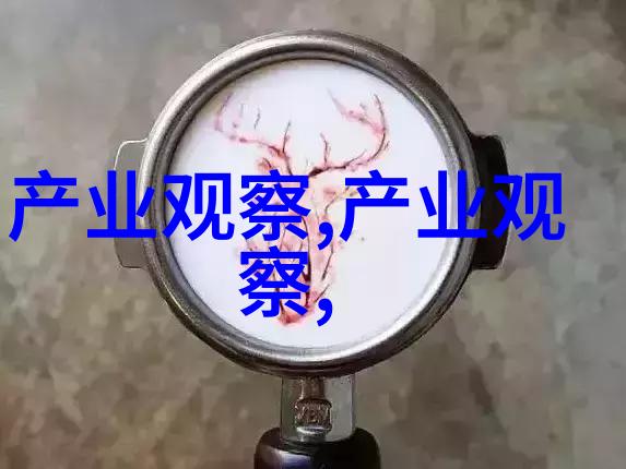 李维斯官网使用eddadior迪奥品牌元素
