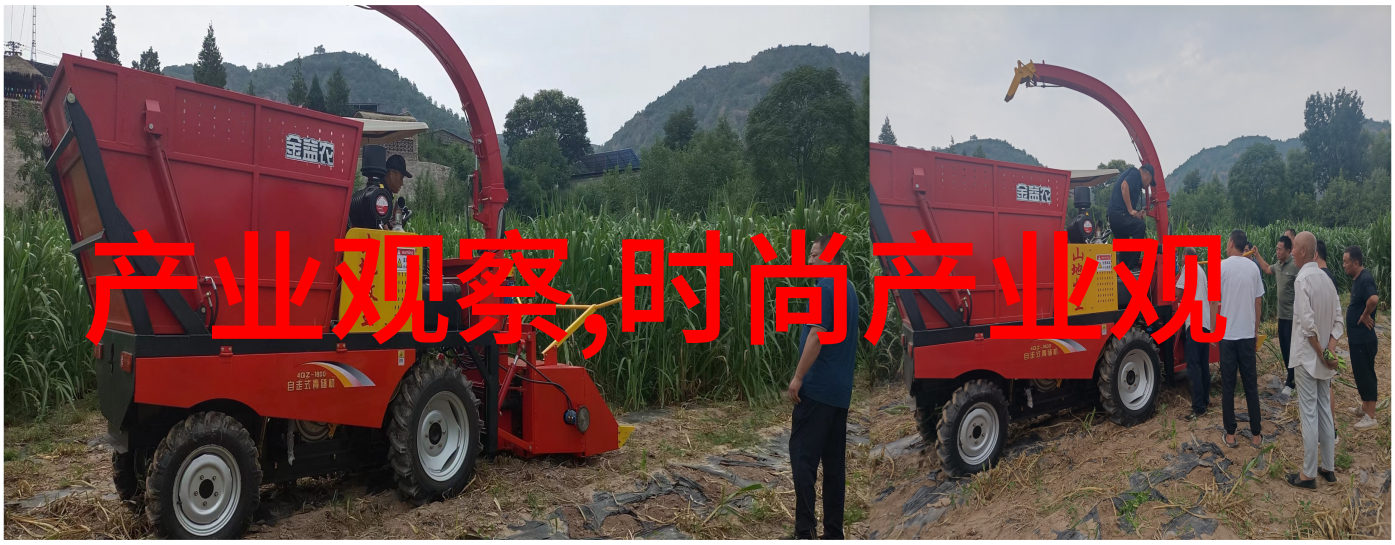 在史记中张鼎一共占据了多少篇章空间
