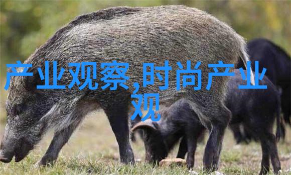 路边新娘全集我是如何在一本书中找到了自己的故事
