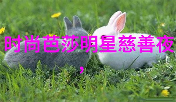 学理发要注意的技巧与细节精准剪发技术安全使用理发工具保持工作环境卫生了解顾客需求
