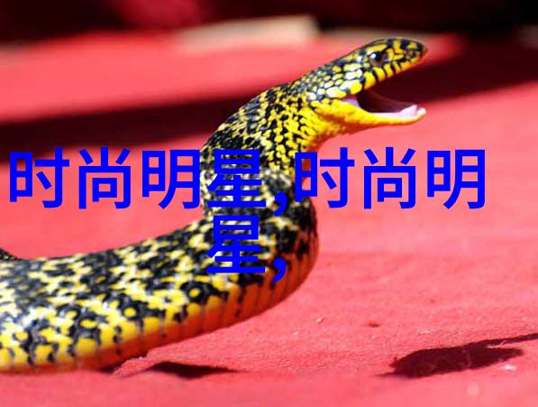 时尚男士穿搭灵感图集男装时尚搭配技巧