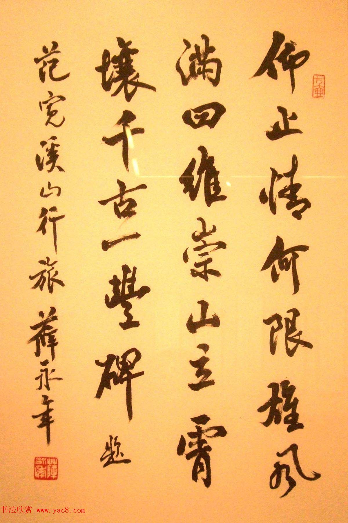 网织芭莎梦