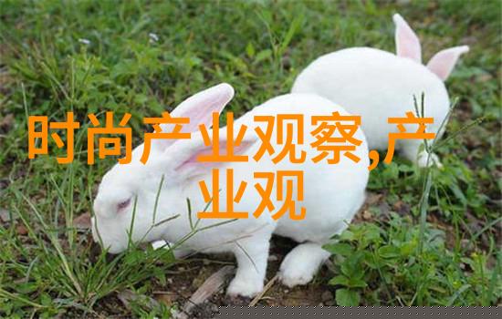 樱桃医生温柔的乡村医生