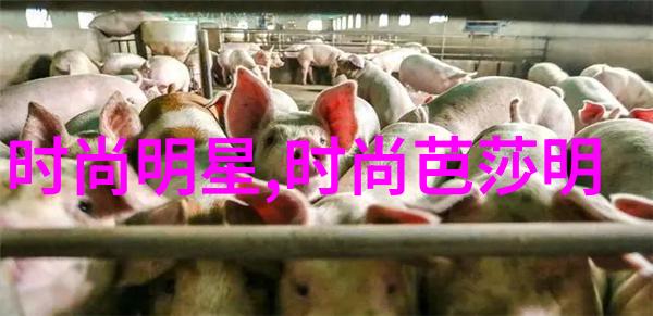 哥斯拉新篇章揭晓哥斯拉-10由山崎贵执导引领日本无限可能的故事之旅