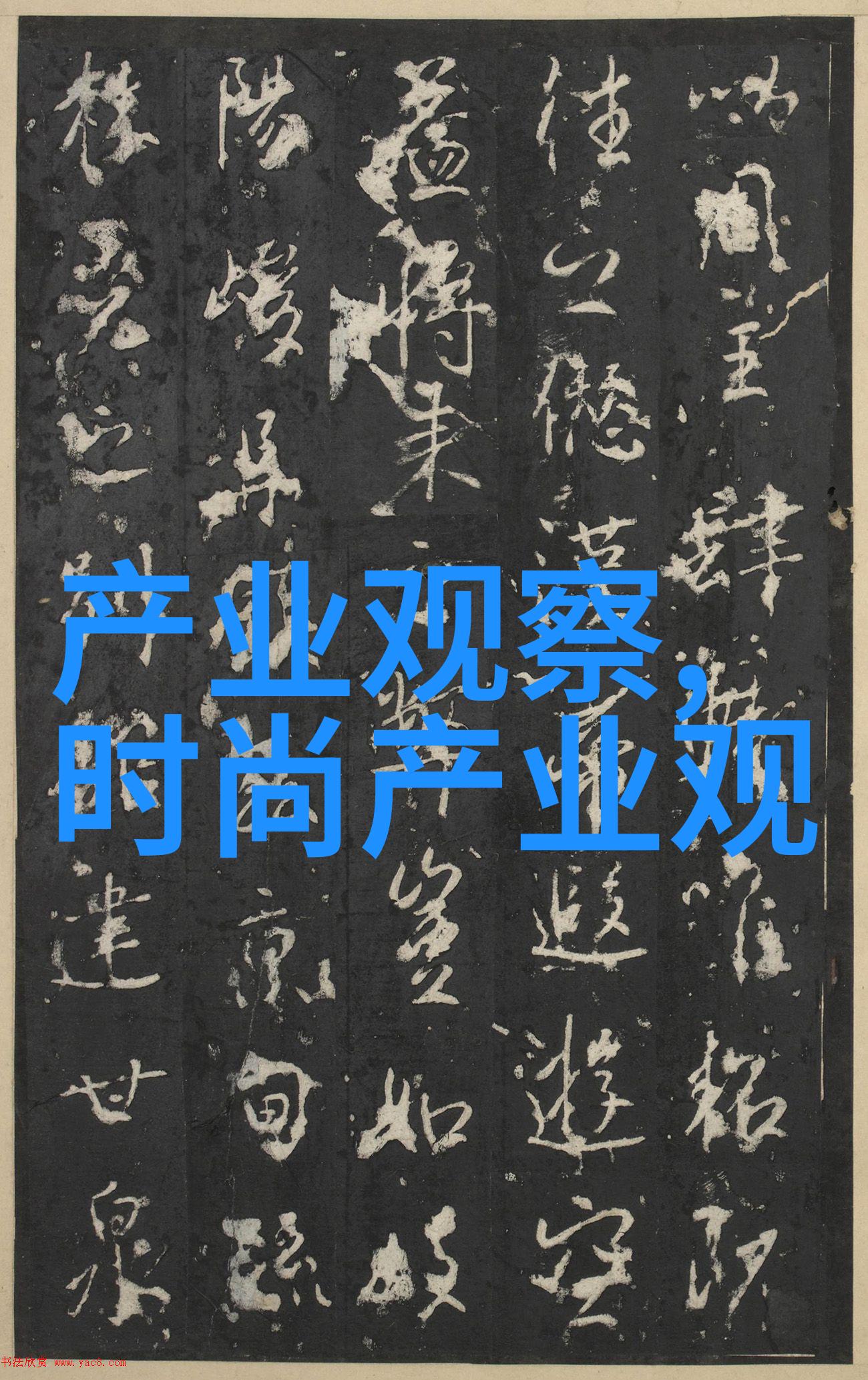 理想身影与理想头款六个月的速成之旅
