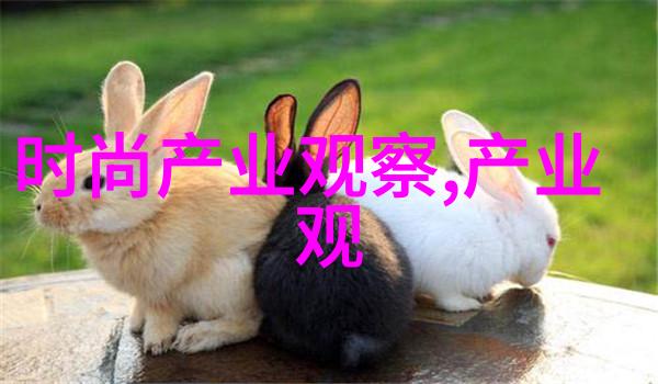 娱乐圈的次要光芒二流明星的隐秘世界