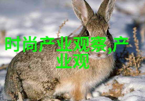 男装时尚穿搭指南打造个性十足的街头风格