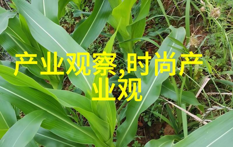 如何处理婚姻中的体型差异问题