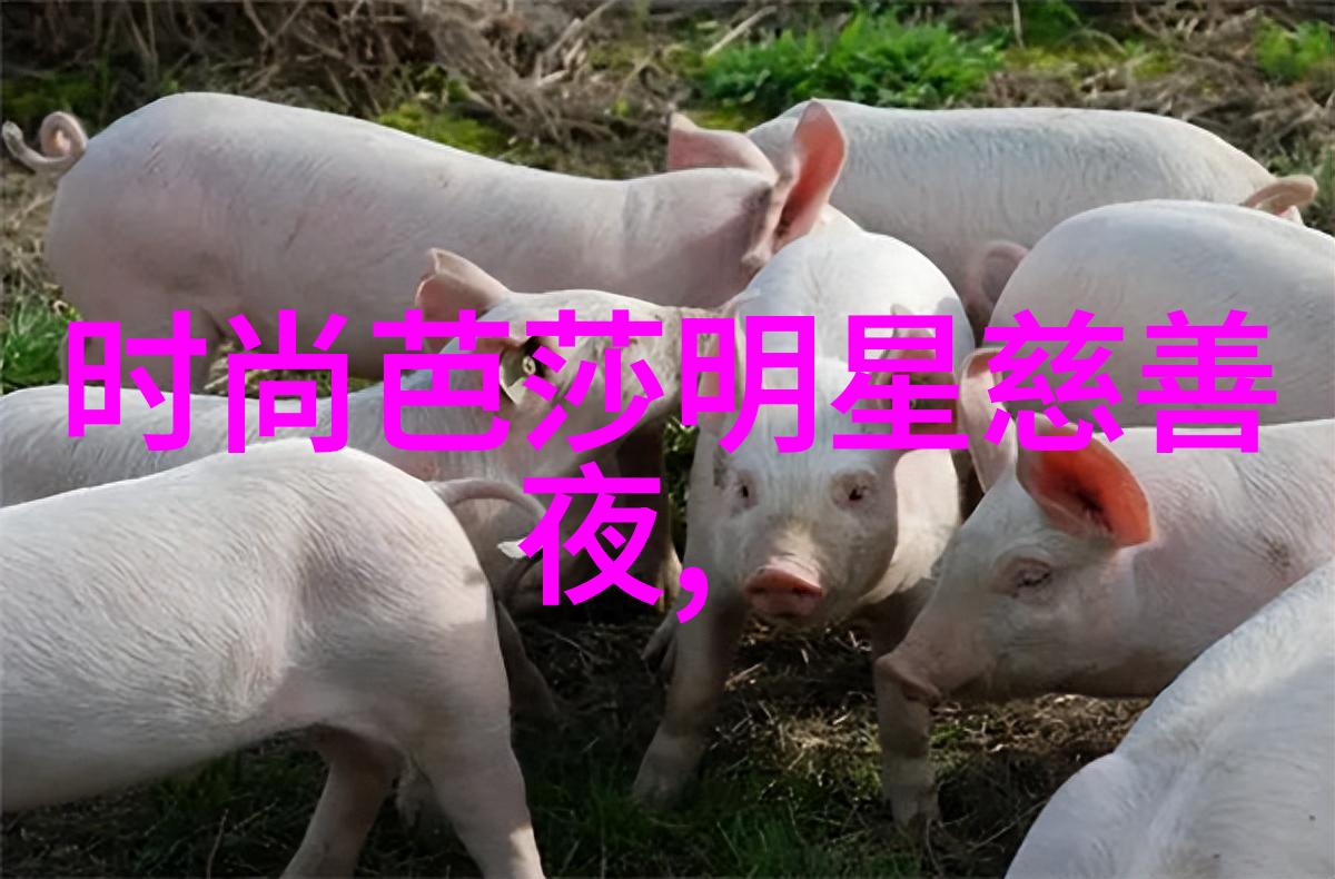 一份vogue杂志电子版足以让你轻松出游仿佛拥有全世界的双肩包