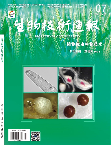太深了吧唧吧唧吧唧吧唧吧-探索心灵的深渊揭秘太深了背后的哲思与情感旅程