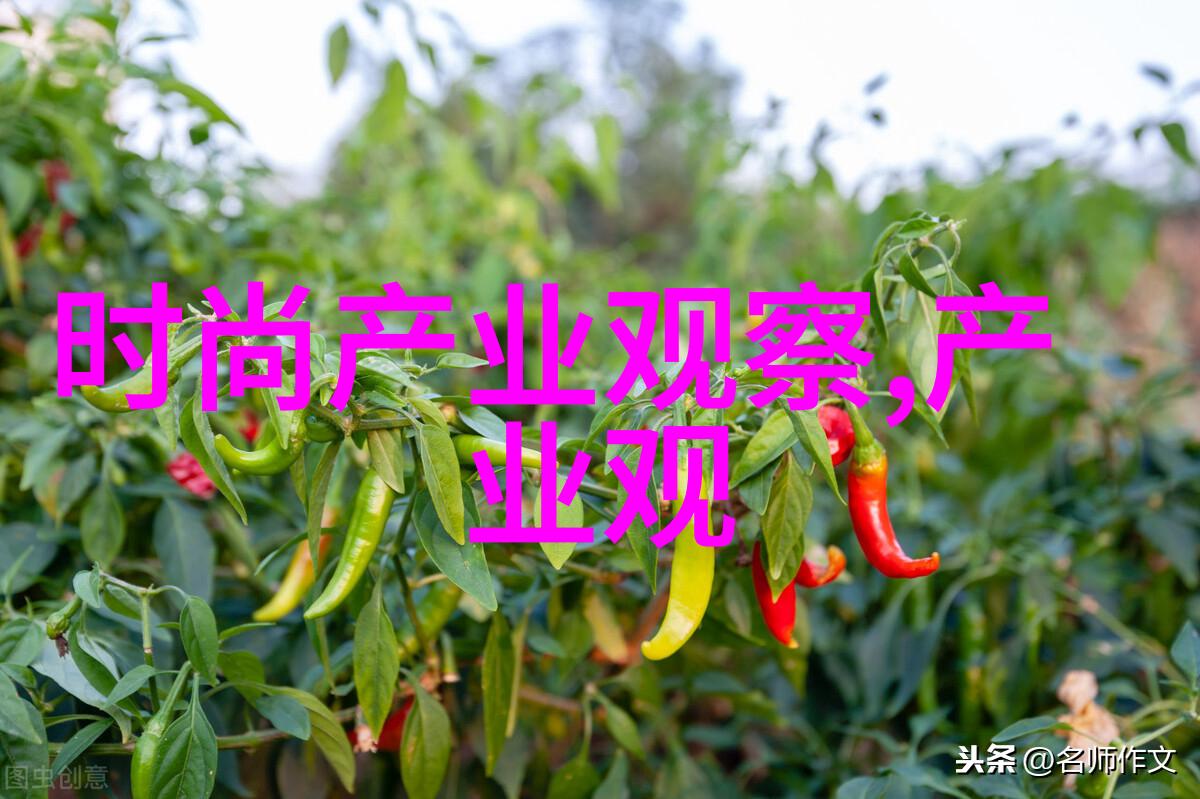 复古风尚探索美式男士时尚穿搭的艺术