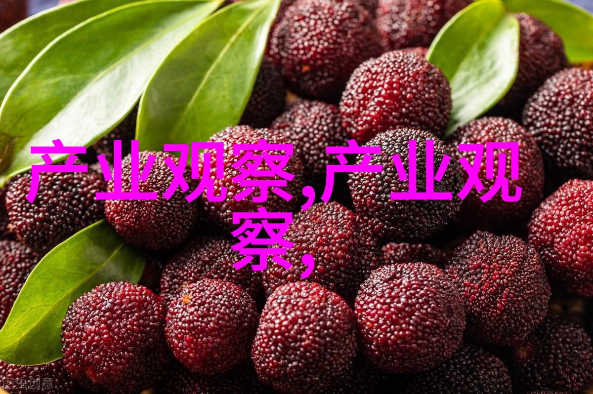 3125c数字时代的隐秘代码