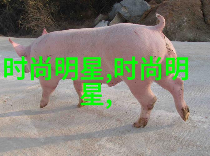 脸型完美的短发时尚指南