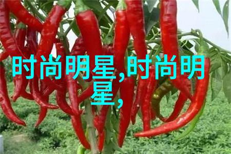 声音画卷语调与节奏在杰尼轩诗歌中的运用