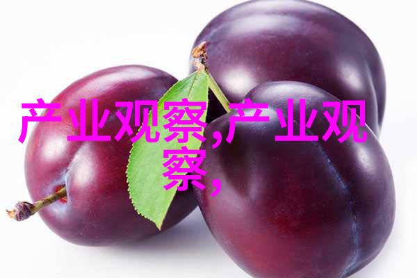361探索数字的奥秘与应用跨学科视角下的深度分析