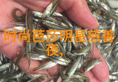 隐藏大佬的演艺生涯角色之旅