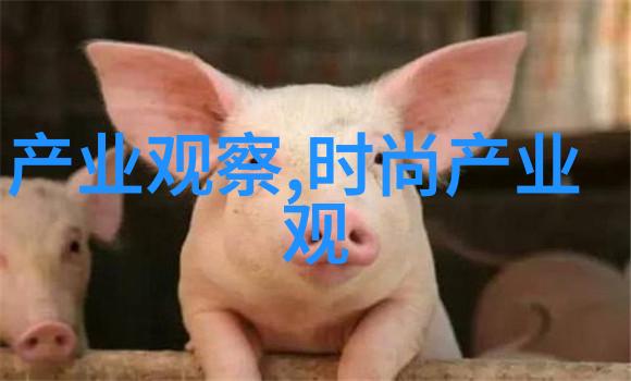深海美味蜜汁炖鱿鱼的诱人魅力与烹饪秘籍