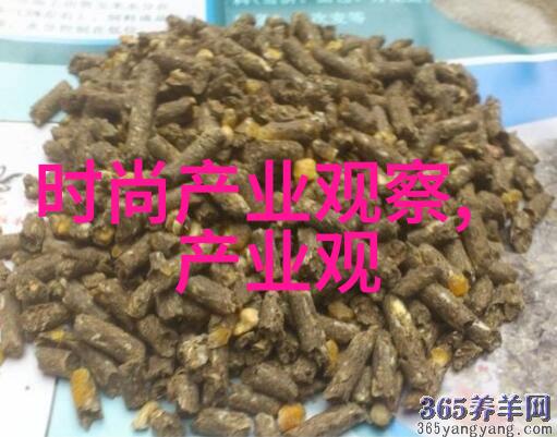 剪发艺术从零到英雄的家庭美学之旅