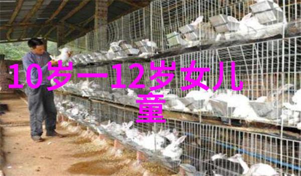 360首页-全方位探索360安全中心的智能防护与隐私保护