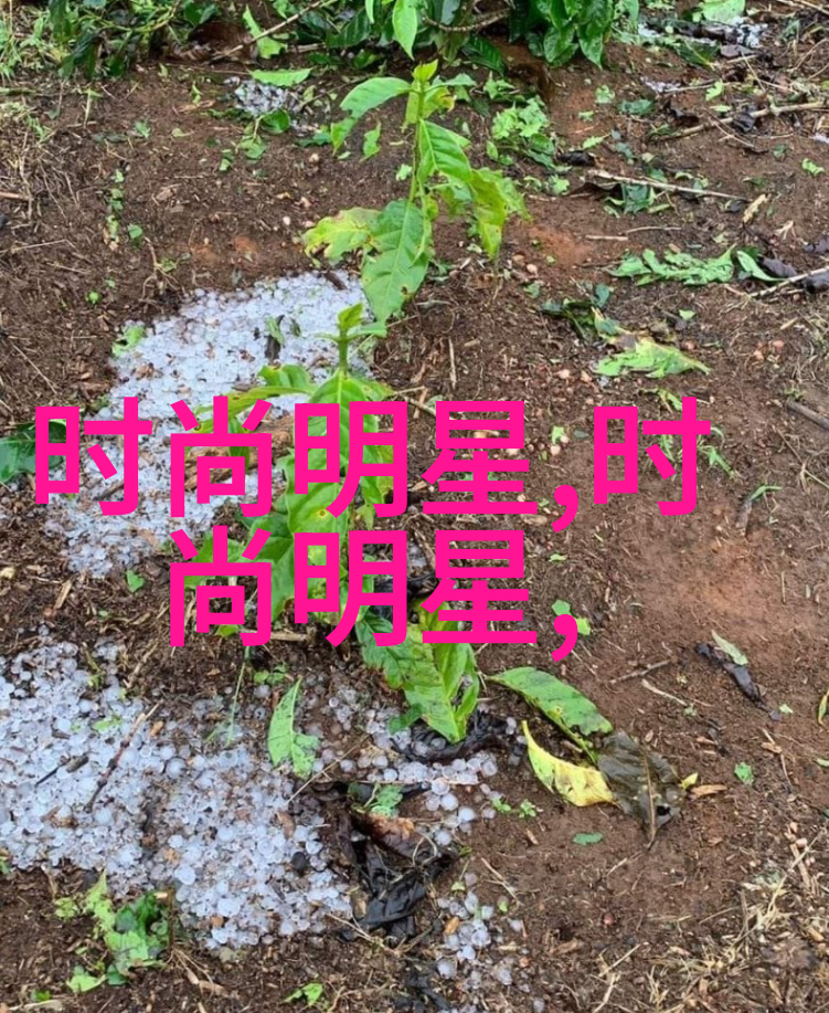 剪刀与创造力探索理发艺术的殿堂