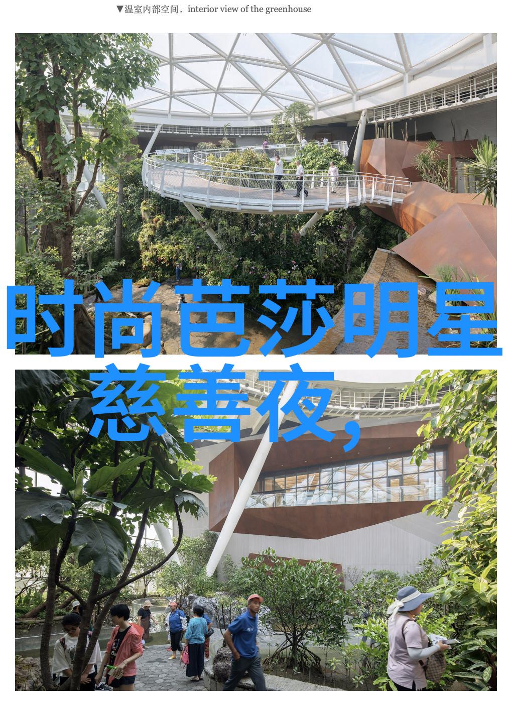 美发艺术-完美融合短发发型设计与脸型搭配的艺术探索