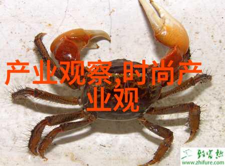 主题我是不是有点s货c货啊