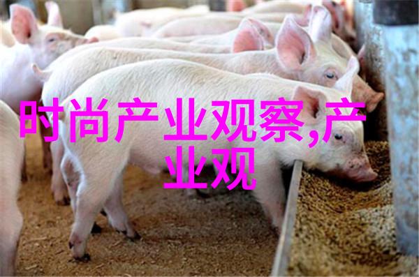 适合不同身材类型的男士秋季穿搭建议