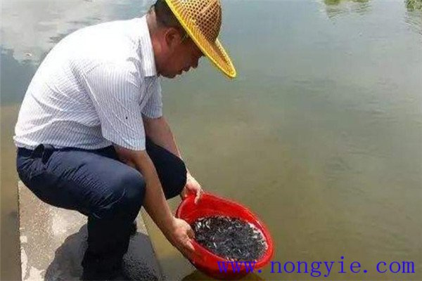 男人穿衣搭配我是如何学会打扮得体的