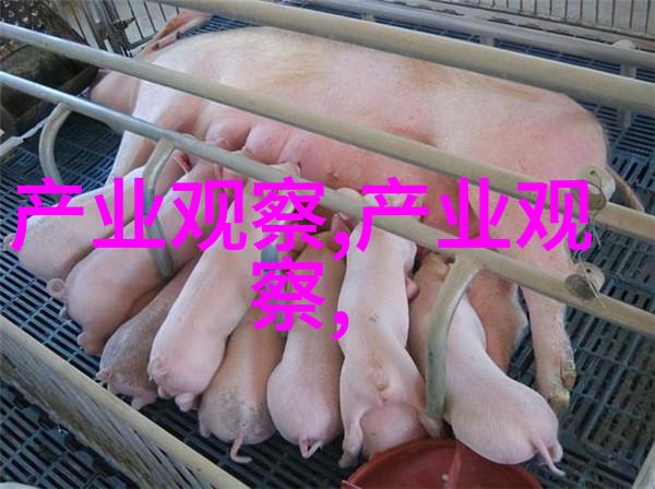 主题我是空军1号的飞行员守卫天际的秘密使命