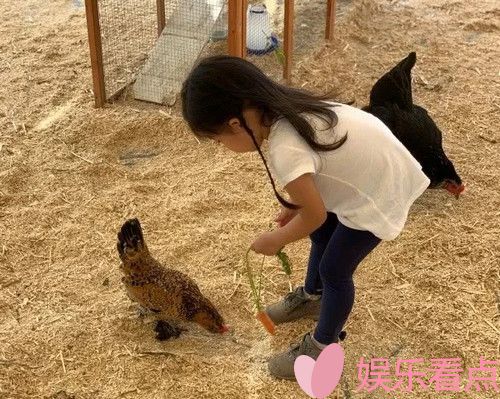 长发发型百态各种美丽的长发造型