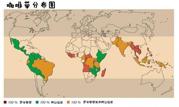 我们是冠军txt-荣耀之巅追逐梦想的征程