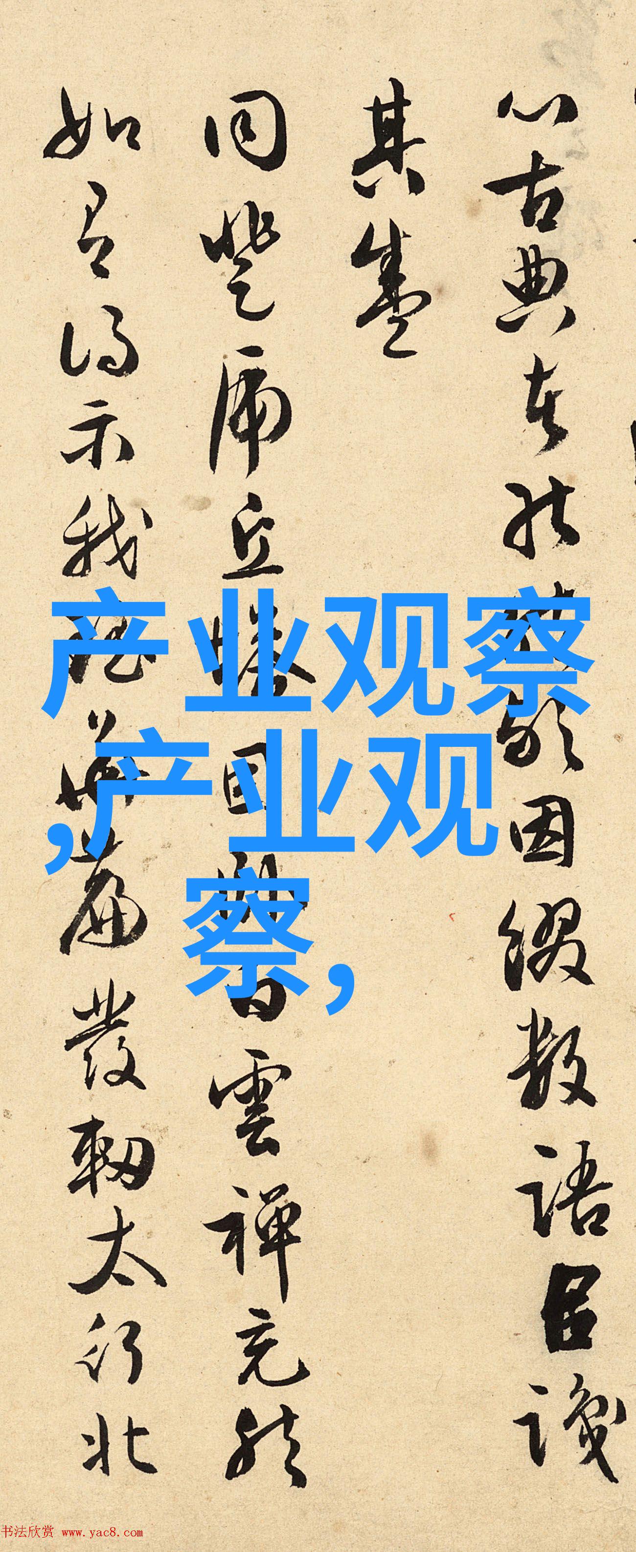 455老张的奇妙数字