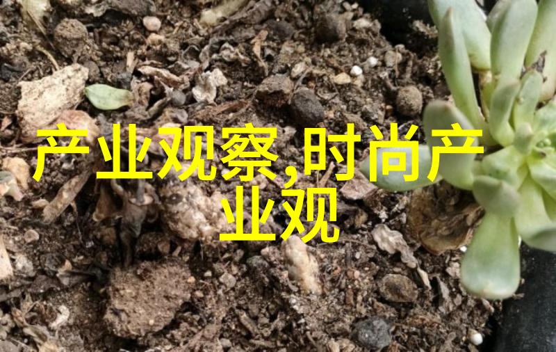 探索托德斯创新与技术的交汇点