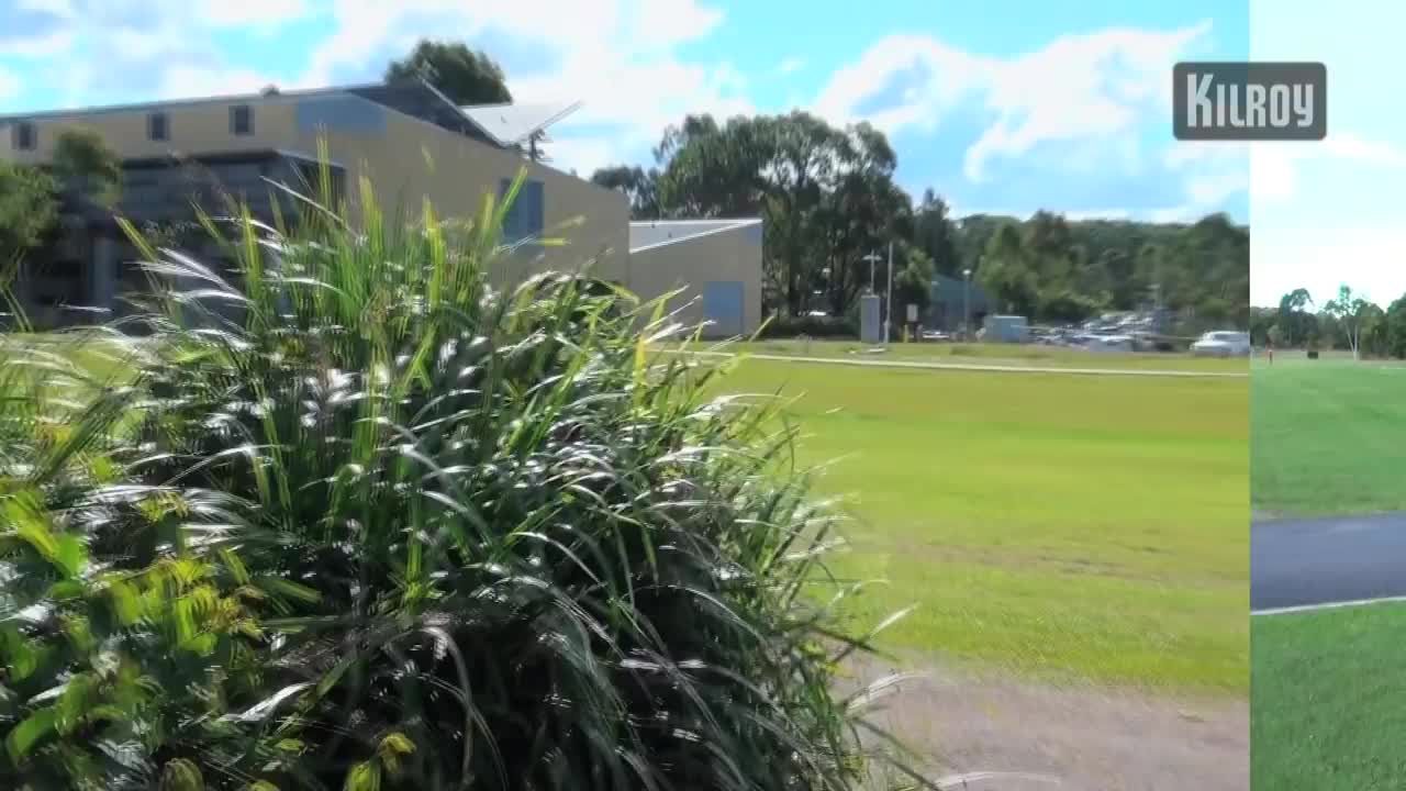 野花高清中文免费观看视频-春天的秘密花园探寻野花之美
