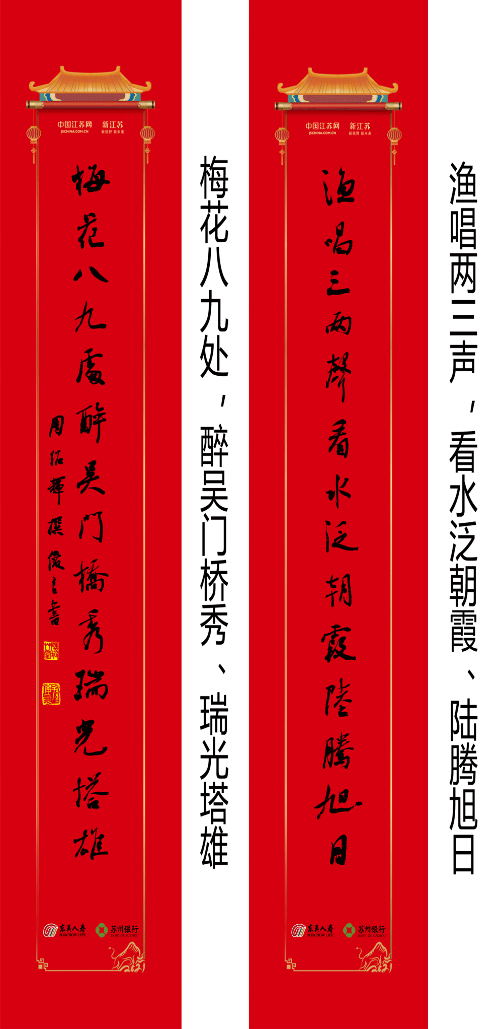 女恐怖分子女性犯罪者恐怖活动参与者