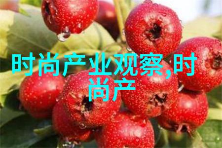 艾莱依穿越时空的魔法女王